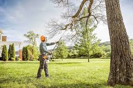 Best Hedge Trimming  in Rice Lake, MN